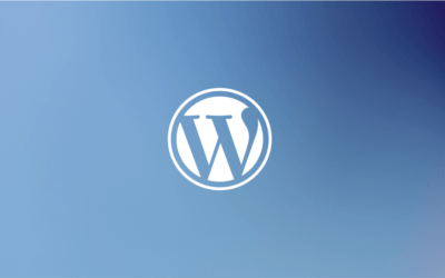 Do Professional Web Designers Use WordPress?