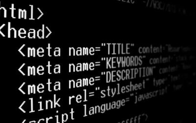 What is Meta Data on a Website