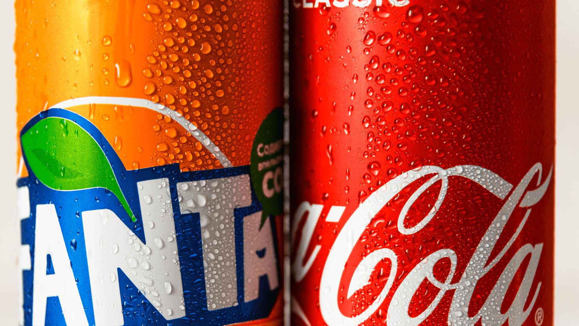 Why Branding and Content Matter Most for New Websites in Competitive Niches